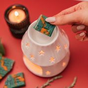 frosty fresh pine wax meltee bar